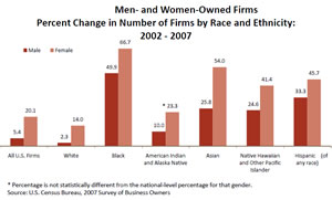 Percent Change in the Number of Firms for Men and Women Owned Businesses by Race and Ethnicity: 2002 &#128;&#147; 2007