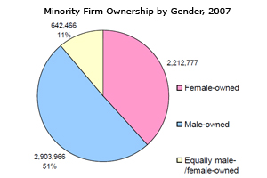 Minority Firm Ownership by Gender, 2007